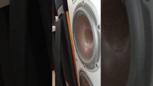 Dali ikon 7 #hifistereoorg