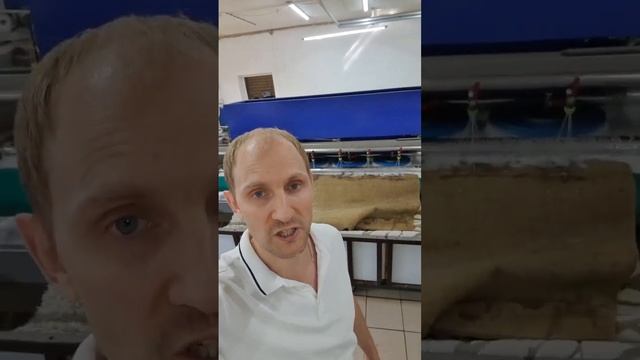 В гостях на фабрике по стирке ковров Lagunika/ г.Арзамас