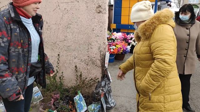 Свой питомник растений. Продажи на рынке.