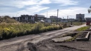 13 августа 2022 г. Посёлок Лесной. Пушкинский район.