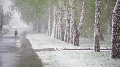 Репетиция зимы: в Кемеровской области выпал снег