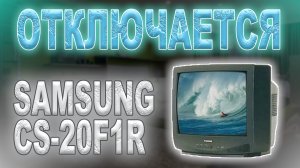 Ремонт телевизора Samsung CS-20F1R шасси KS1A, отключается