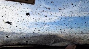 Террано в грязи