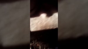 Ланцер 9 датчик детонации двигателя ее причины и неисправности