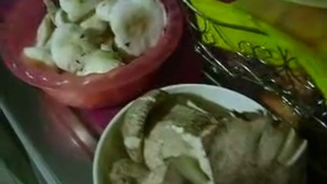 funghi tutto l'anno смотреть онлайн