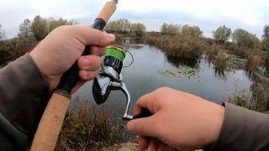 Savage Gear 3D Pop Frog 70mm 20g