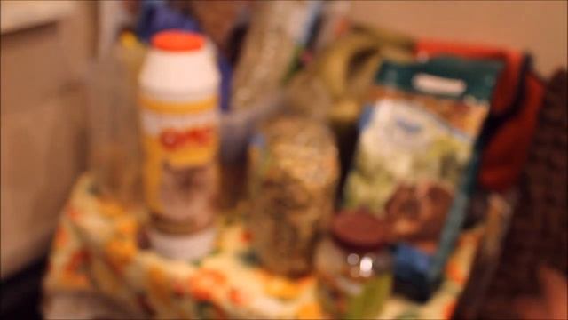 Корм для белок дегу// Чем я кормлю своих белочек? смотреть онлайн