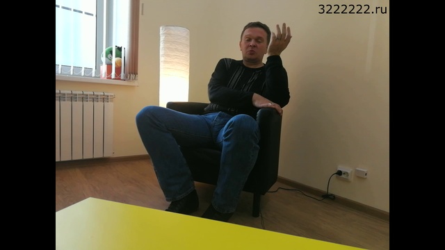 Агрессия у кошек