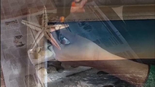 Изделия из ракушек