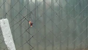 Термоизоляция.