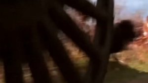 Егор Бероев в роли Эраста Фандорина