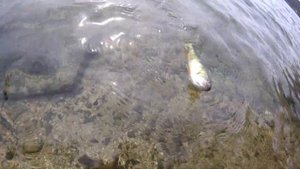 Озеро Тургояк 2021, Челябинская область