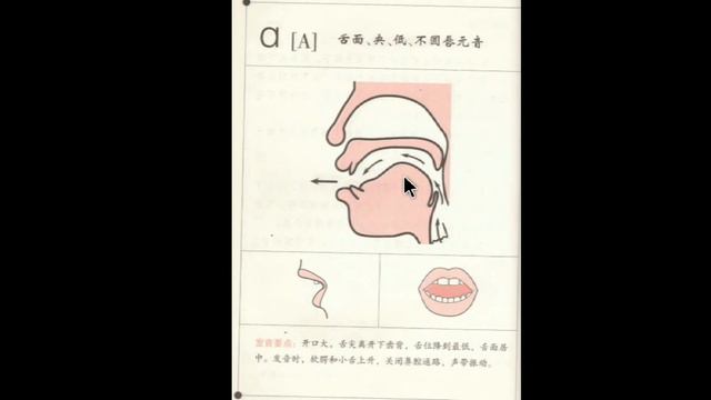 Пиньинь  гласные