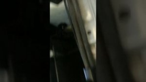 Рапид замена ламп ксенона на 35 w