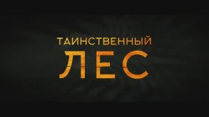 Таинственный лес (2024)