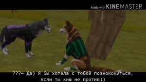 •|| История: меня ненавидят. ВилдКрафт/WildCraft «Часть 1.»