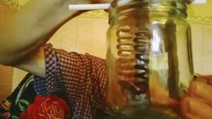 Плазменный реактор Чаша Жизни. как сделать .От 8.08.21.    22.01.2023.технология Мехрана кэше.