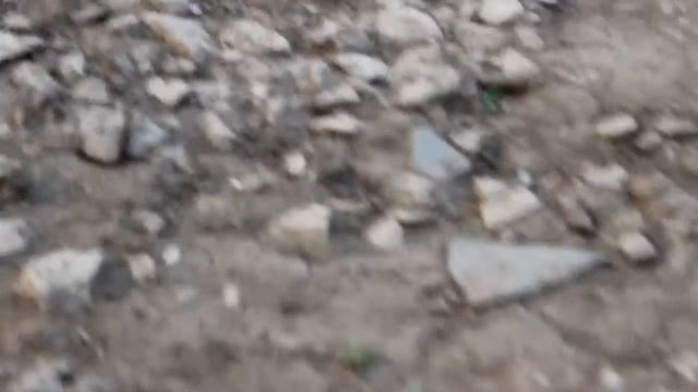 Машина смотреть онлайн