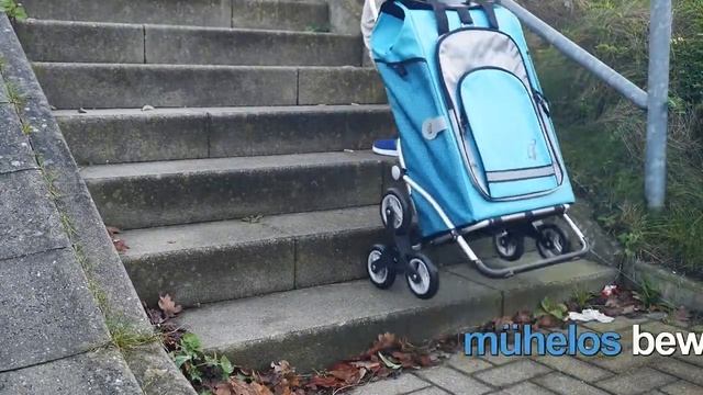 Andersen Royal Shopper als Treppensteiger смотреть онлайн