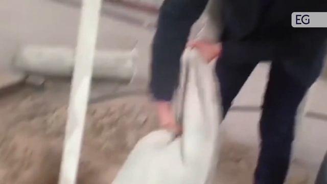 Дробилка молотковая модель HM-1000 смотреть онлайн