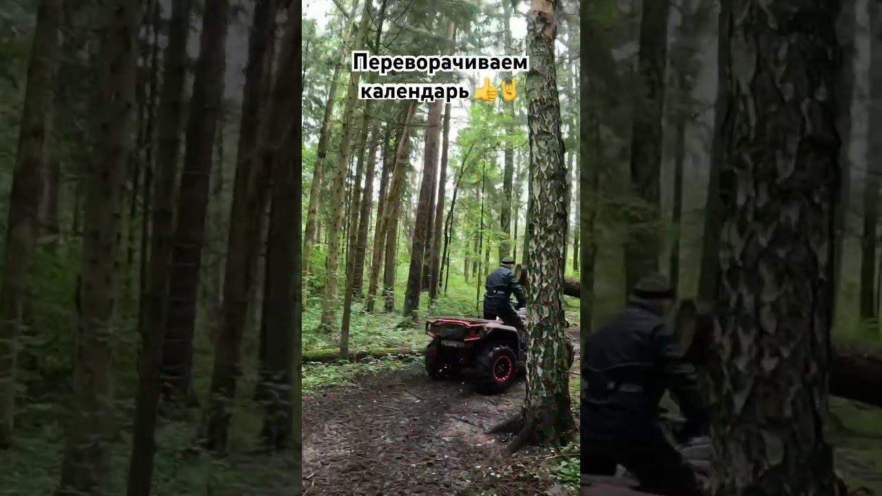 Вот и осень прилетела смотреть онлайн