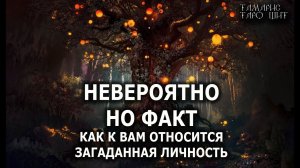 Невероятно но факт... Гадание на отношения
