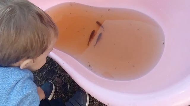 В гостях у мамы (на даче)//Старая Русса. смотреть онлайн