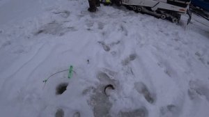 Зимняя рыбалка на хариуса!!!  / Донки на хариуса//Проверка донок на хариуса//