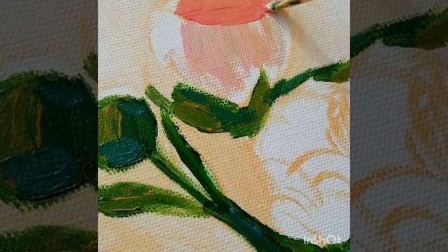 Как рисовать пионы акрилом? ?? смотреть онлайн