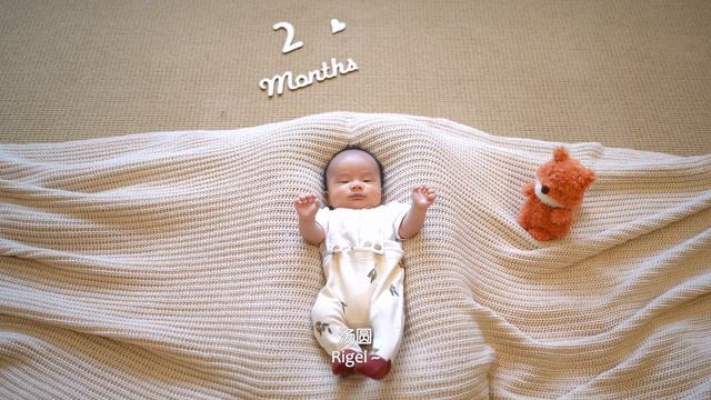 Baby 2nd Month Photo Shoot With Dog and Cats смотреть онлайн