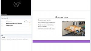 Инородные тела в дыхательных путях и ЖКТ у животных.