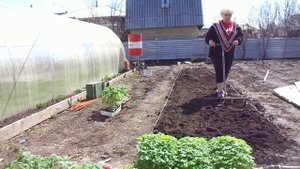 КАК ВЫРАСТИТЬ РАССАДУ НА ПРОДАЖУ? Часть 3 - подготовка грядки. Ольга Чернова.