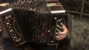 В городском саду