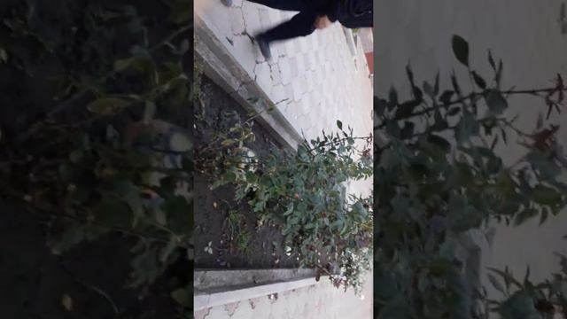 Я против моего другана кто хорошо делает пинальти и играет футбол смотреть онлайн