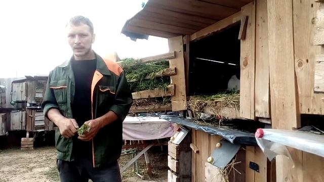 СБЫТ КРОЛИКОВ!! А куда?/КРОЛИКОВОДСТВО как БИЗНЕС