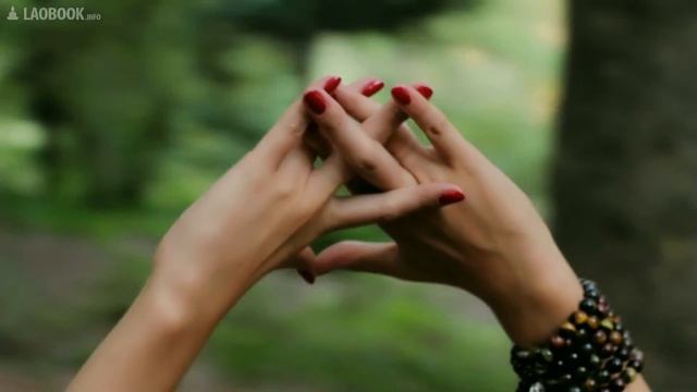 Школа Кунг-Фу Ша-Фут-Фань, всё о Мудрах... смотреть онлайн