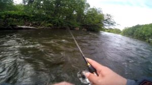 В выходной за симой!