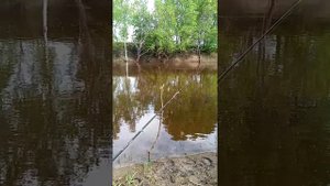 река теша