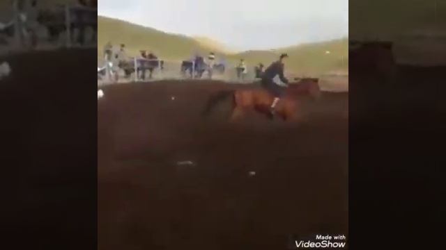Казахи объезжают лошадей!!! Клип мен казакпын!!!