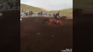 Казахи объезжают лошадей!!! Клип мен казакпын!!!
