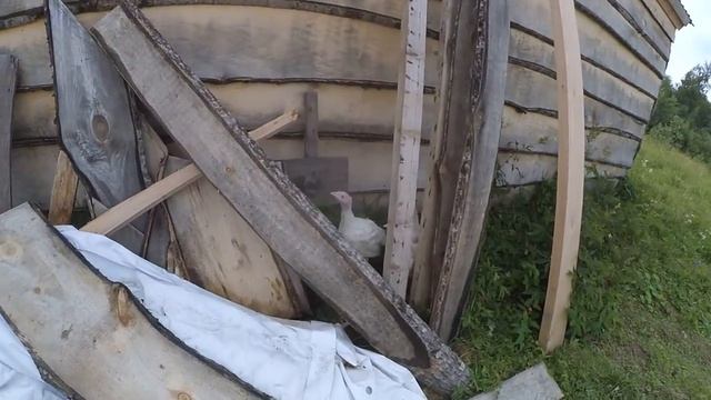 индюки- выход в свет // хутор Загайки смотреть онлайн