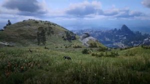 Атмосферное видео по RDR2. Пролёт камеры вдоль склона горы, пасущиеся лошади