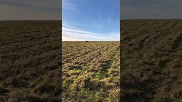 Ollie taking Chloe for a ride on the raptor yfm 90 (aggressive riding by Ollie) ? смотреть онлайн