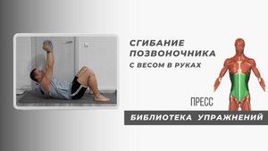 Чтобы увидеть свой пресс - делай это упражнение. Так появляются кубики на животе.