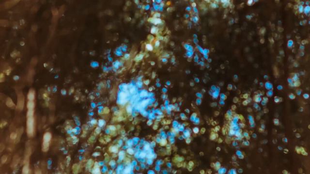 woodland piano 1.1.0 patch (no more noise and other fixes) + sneak peak смотреть онлайн