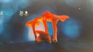 How to install dictionary on Likebook and Meebook?