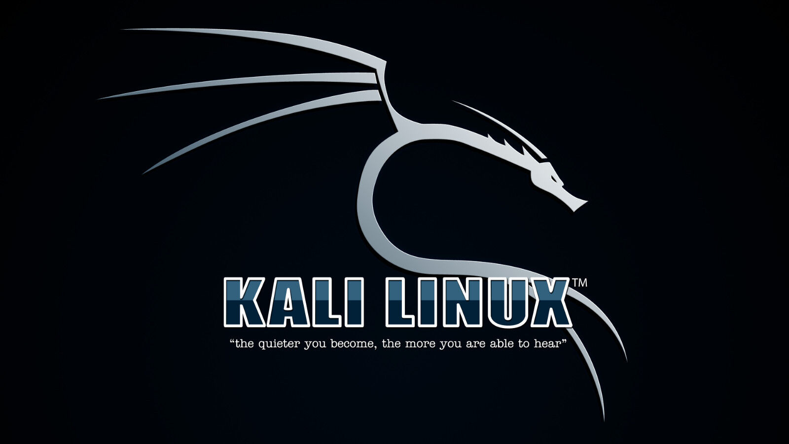 Урок 7 Терминал и команды  (Kali Linux полный курс)