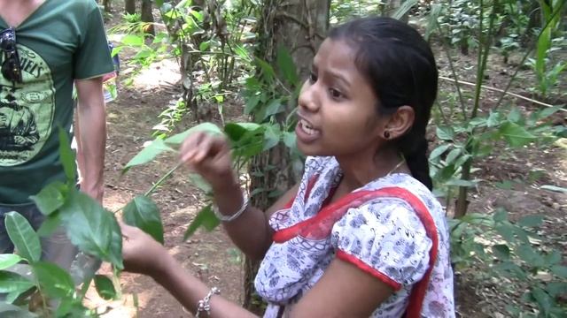 Как растёт маленький перец чили смотреть онлайн