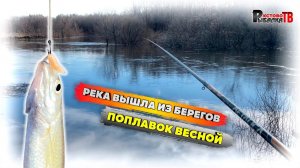 Поплавочная ловля уклейки весной на притоке реки Волга.