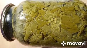 Как мариновать виноградные листья за 10 минут .На долма.Рецепт запасы назиму листья заготовка dolma